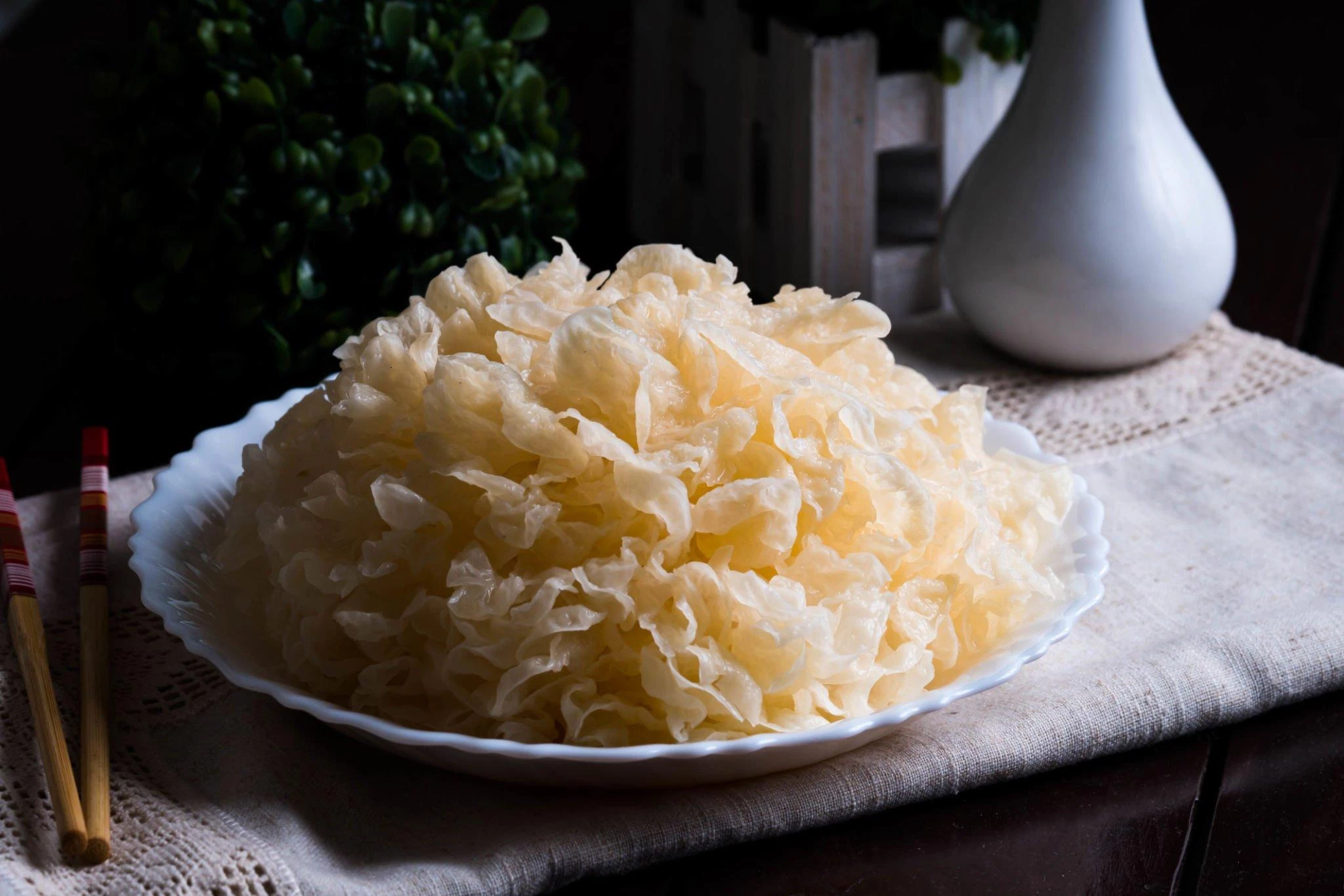 MANFAAT KESEHATAN JAMUR SALJU SANGAT BAIK UNTUK MENINGKATKAN DAYA