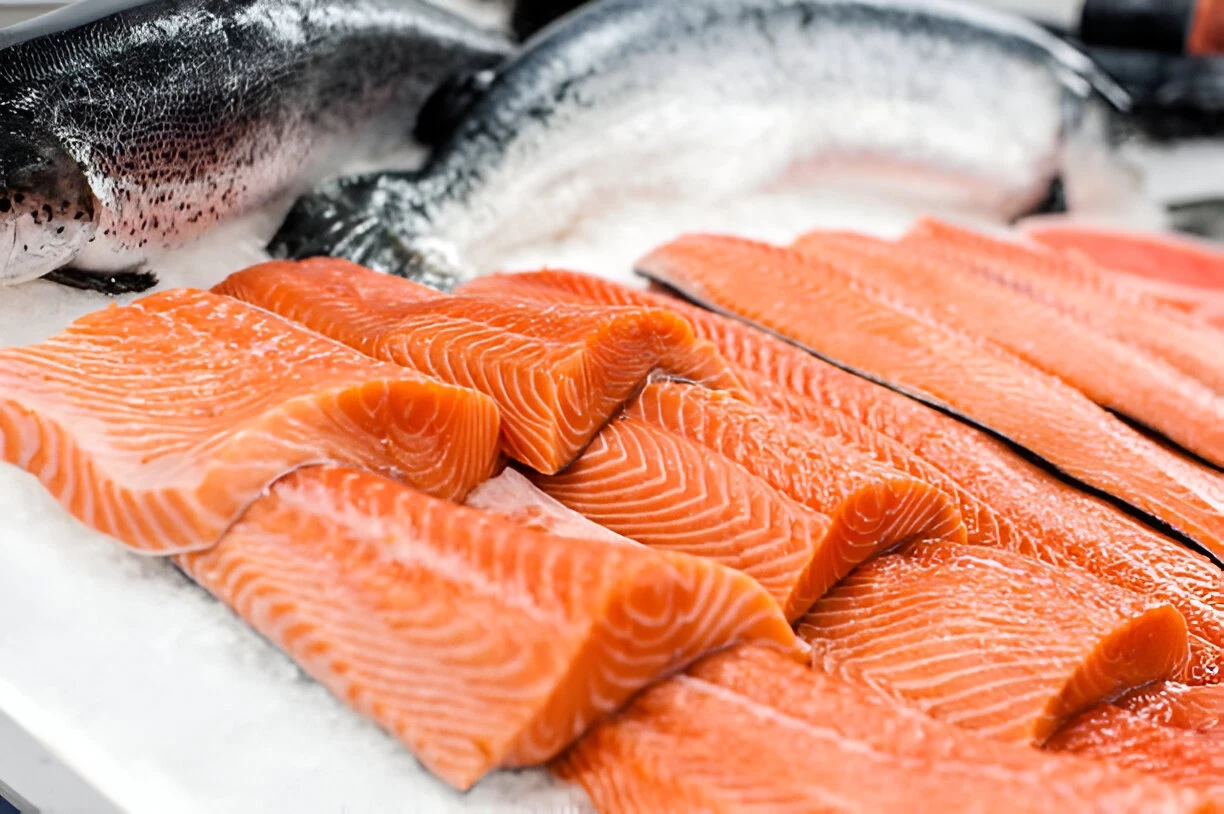 NUTRISI DAN MANFAAT KESEHATAN IKAN SALMON