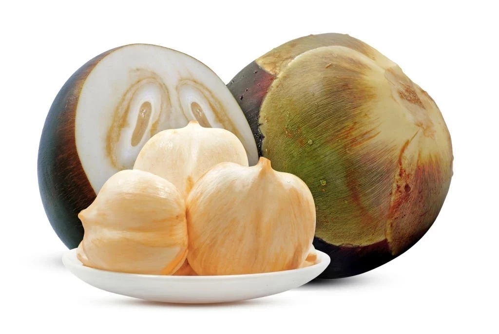 KENALI KANDUNGAN GIZI, MANFAAT KESEHATAN, CARA MENGKONSUMSI DAN EFEK SAMPING MENGKONSUMSI BUAH LONTAR SIWALAN