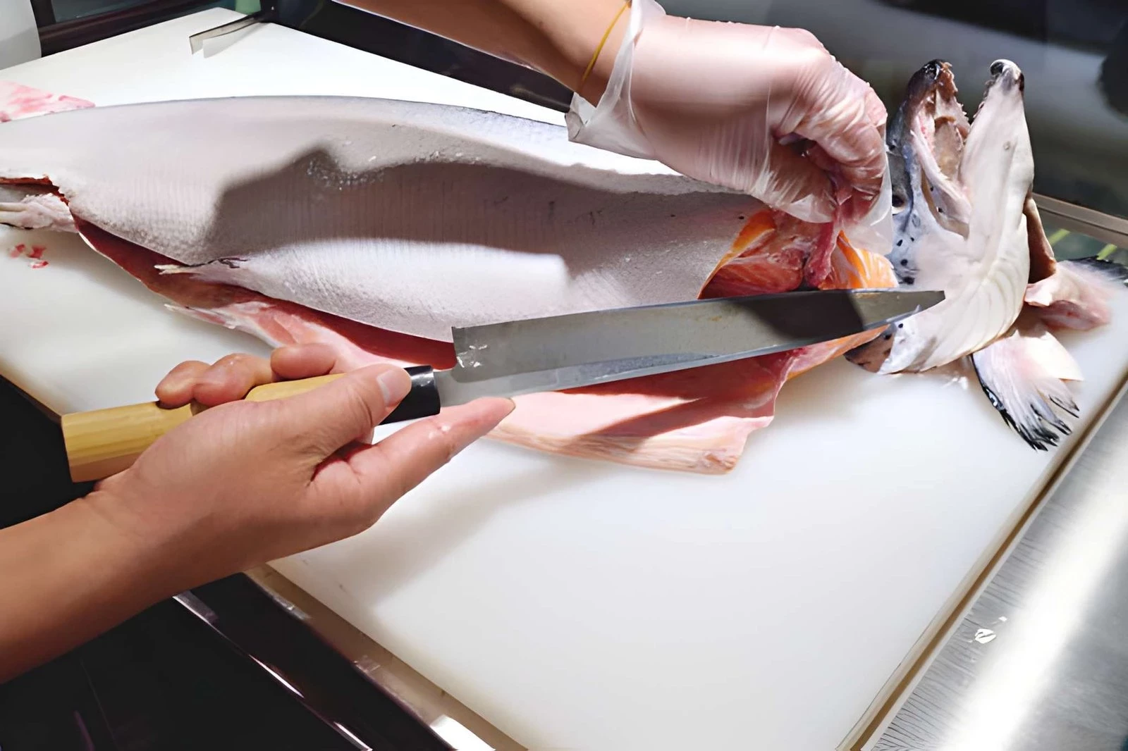 Mottainai: Filosofi Jepang untuk Menghargai Makanan dan Mengurangi Pemborosan