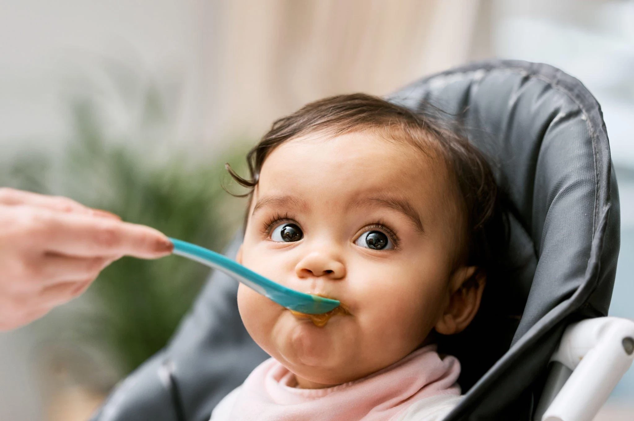 PANDUAN UNTUK MEMPERKENALKAN BAYI PADA MAKANAN YANG LEBIH PADAT