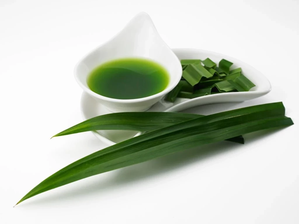 daun pandan dan tkstrak daun pandan