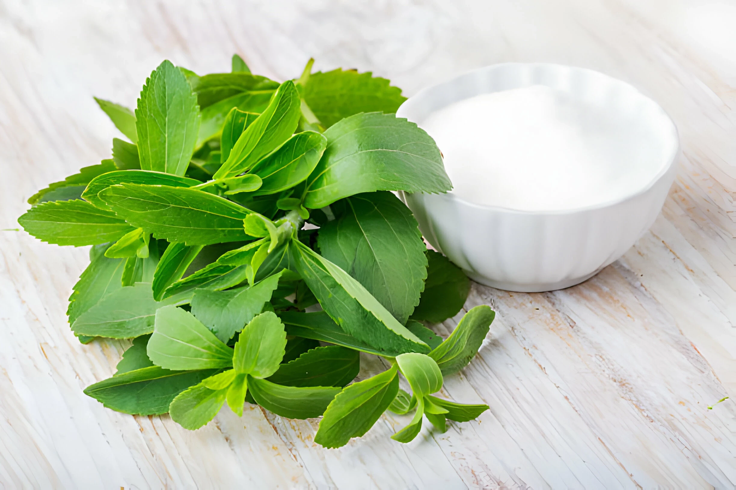 Stevia: Kandungan Gizi, dan Manfaat Kesehatannya