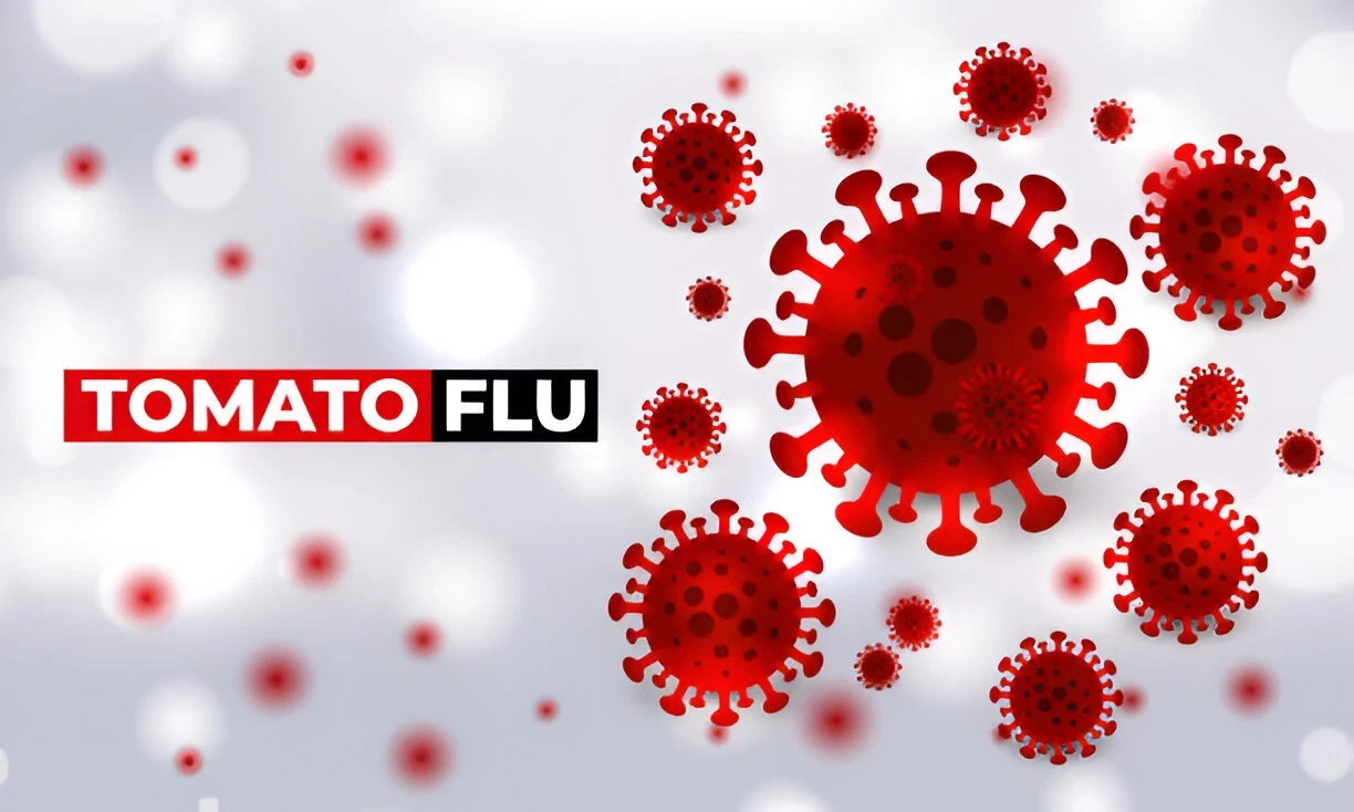 Flu Tomat: Penyebab, Gejala, dan Langkah Pencegahan Yang Dapat Diambil