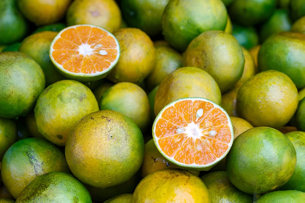 Jeruk Kasturi (Calamansi): Kandungan Gizi dan Manfaat Kesehatannya