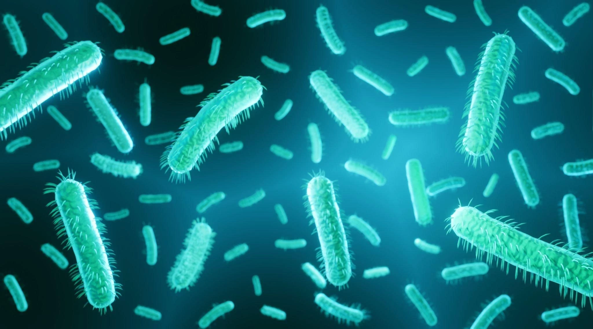 Escherichia Coli (E. Coli): Penyebab, Gejala, Penularan, dan Pencegahan