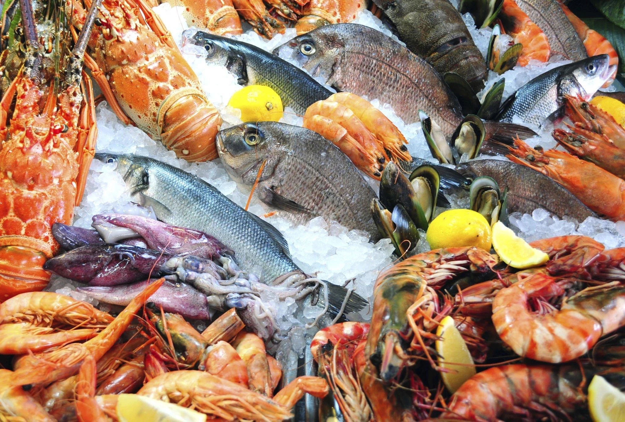 Jenis Seafood Yang Tinggi Merkuri: Apakah Berbahaya Bagi Kesehatan Tubuh