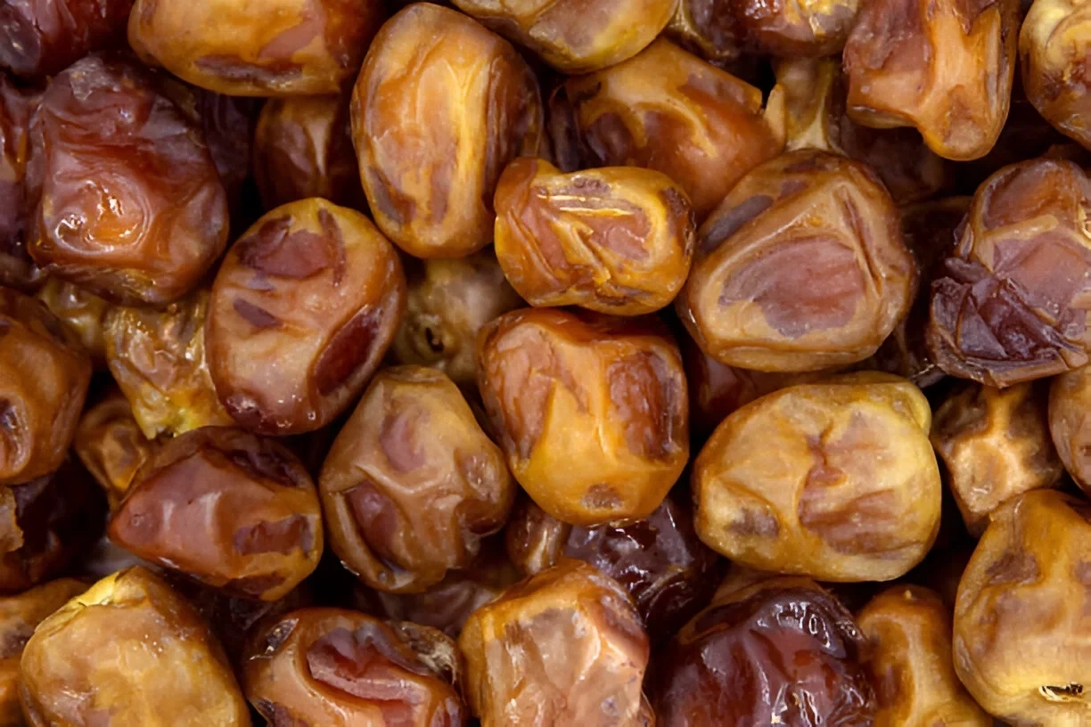 Kurma Sukari: Kandungan Gizi dan Manfaat Kesehatannya
