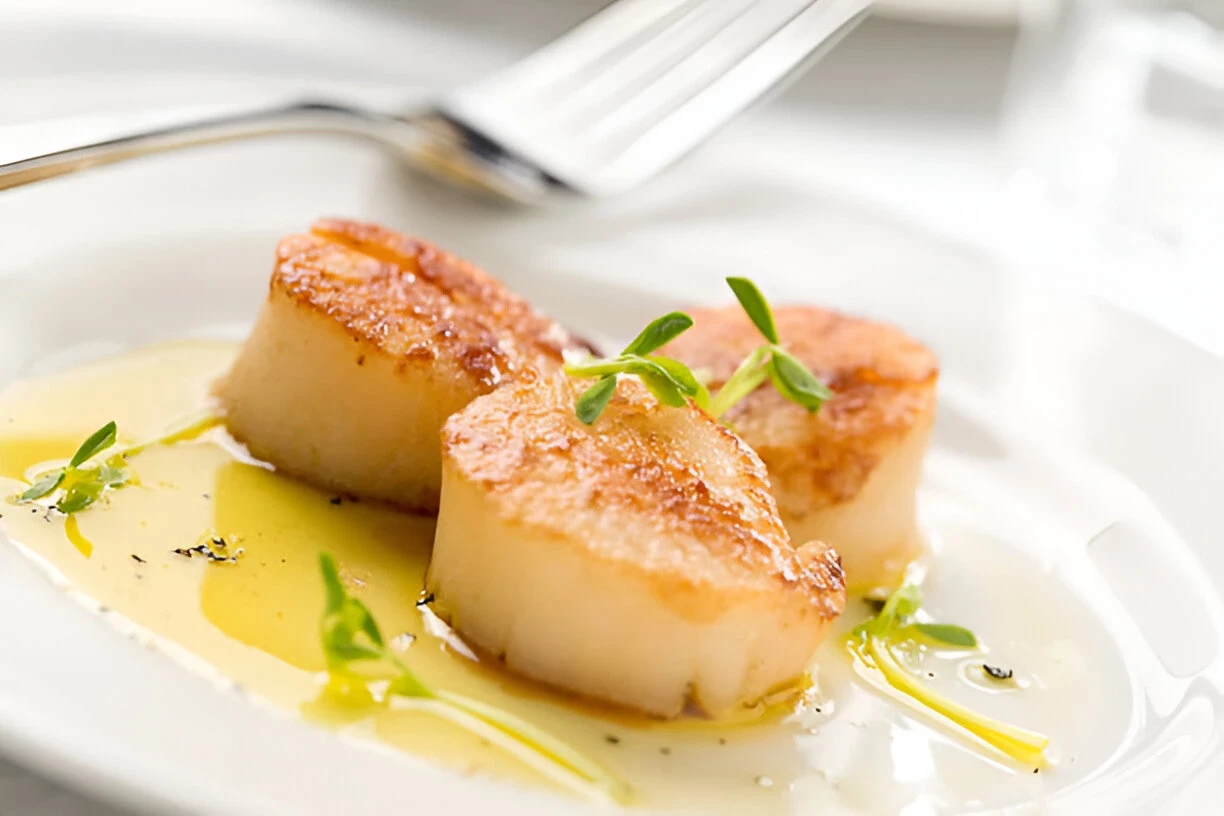 Scallop: Manfaatnya Bagi Kesehatan Tubuh, dan Bahayanya Yang Perlu Diwaspadai
