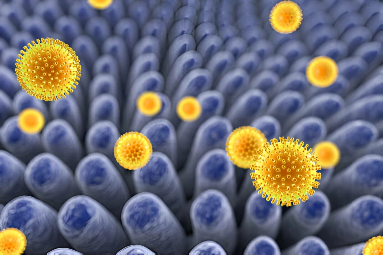 Rotavirus: Gejala, Penyebab, Pengobatan, dan Pencegahannya