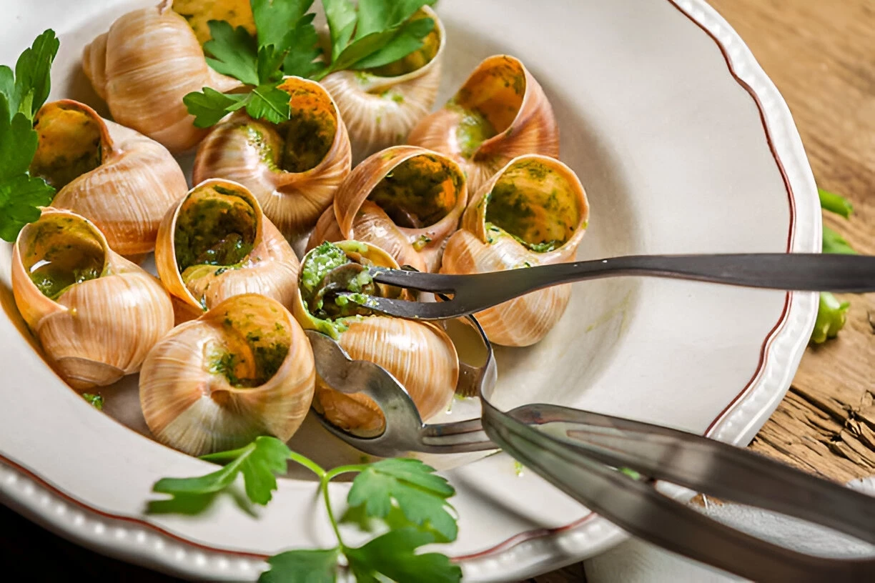 Escargot: Cita Rasa Unik dari Siput Yang Kaya Nutrisi