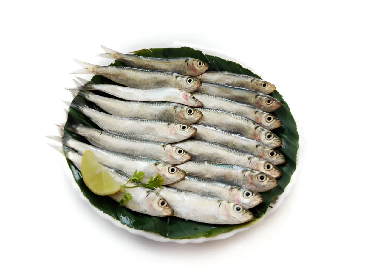 Ikan Lemuru: Kandungan Nutrisi dan Manfaat Kesehatannya