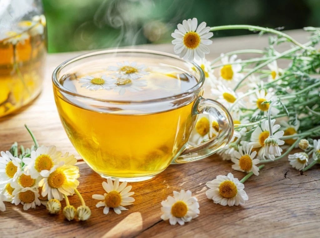 Teh Chamomile: Kandungan Gizi dan Manfaat Kesehatannya