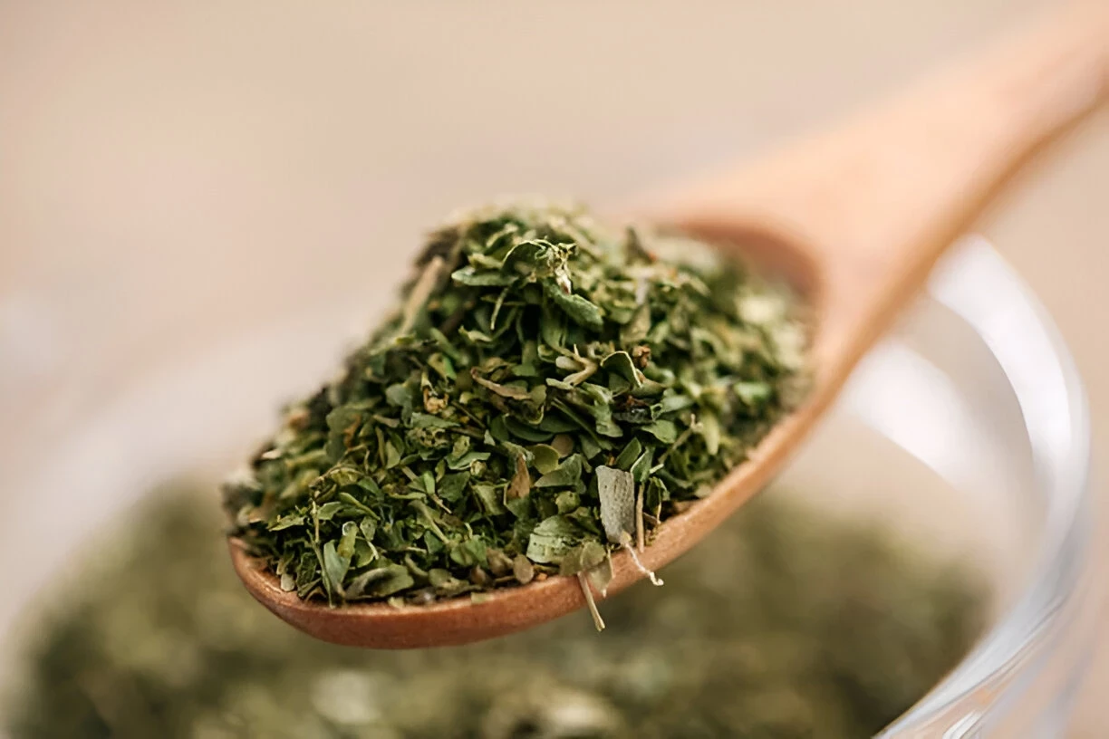 Oregano: Kandungan Gizi dan Manfaat Kesehatannya