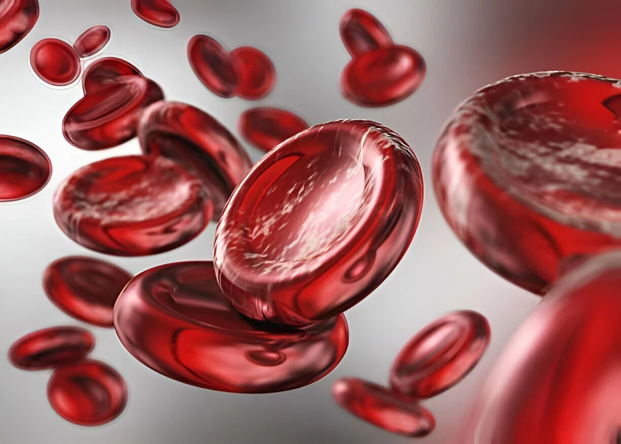 Hemoglobin: Fungsi, Kadar Normal, dan Cara Menjaganya