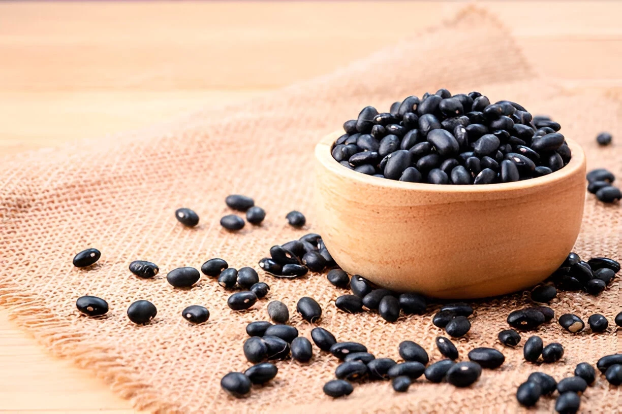 Kacang Hitam: Kandungan Gizi dan Manfaat Kesehatannya