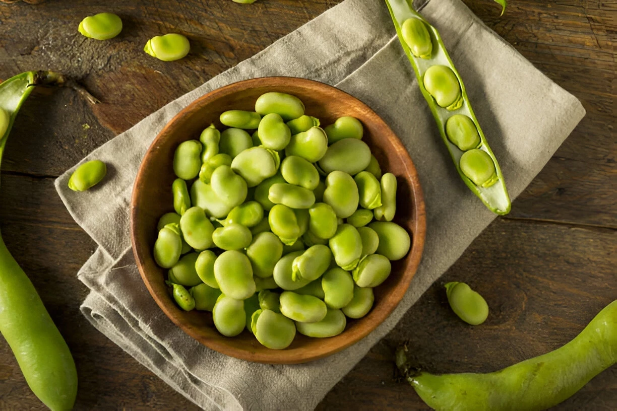 Kacang Fava: Kandungan Gizi dan Manfaat Kesehatannya