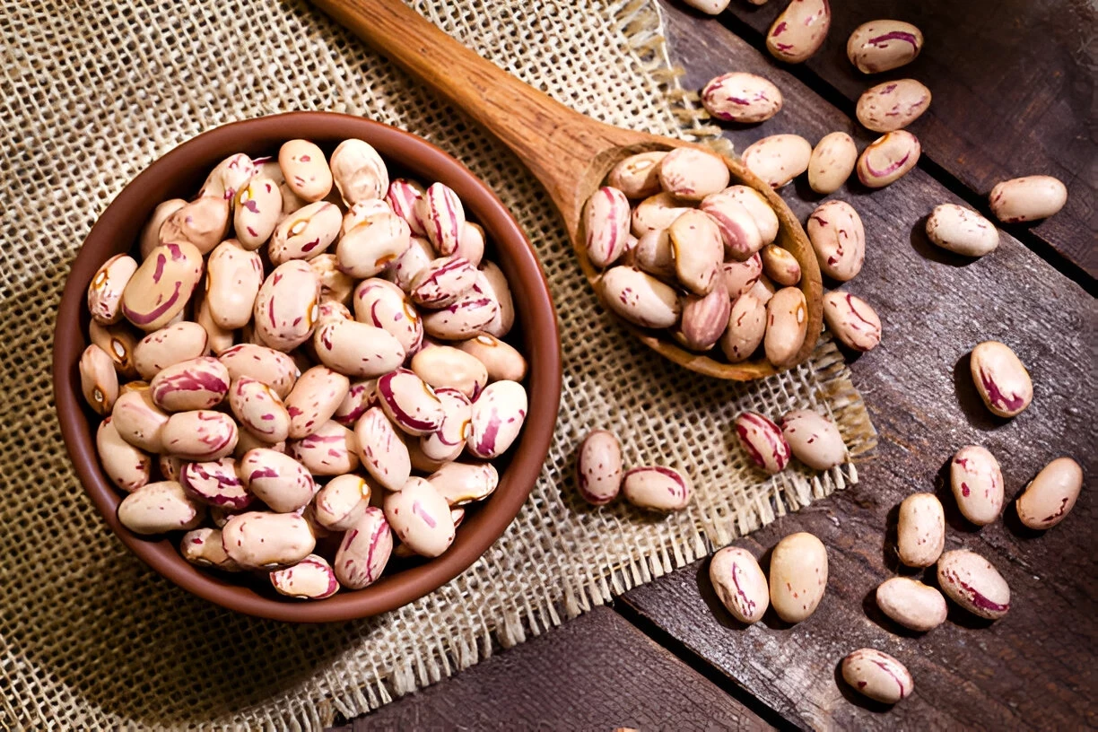 Kacang Pinto: Kandungan Gizi dan Manfaat Kesehatannya