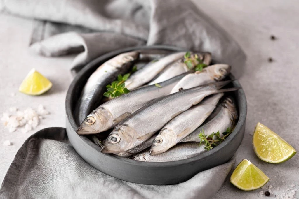 Ikan Sarden: Kandungan Gizi dan Manfaat Kesehatannya