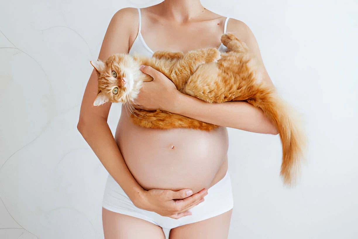 Toksoplasmosis: Dampak Buruknya Bagi Ibu Hamil