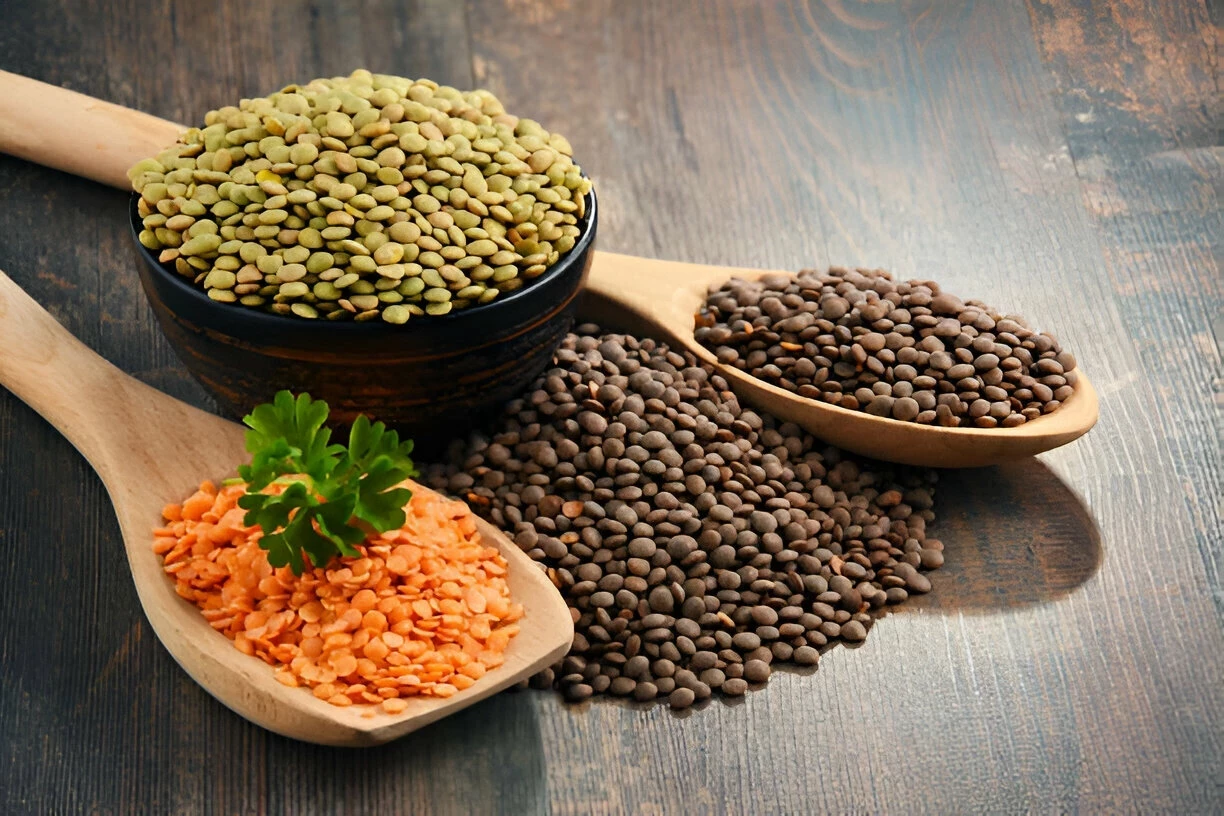 Kacang Lentil: Kandungan Gizi dan Manfaat Kesehatannya