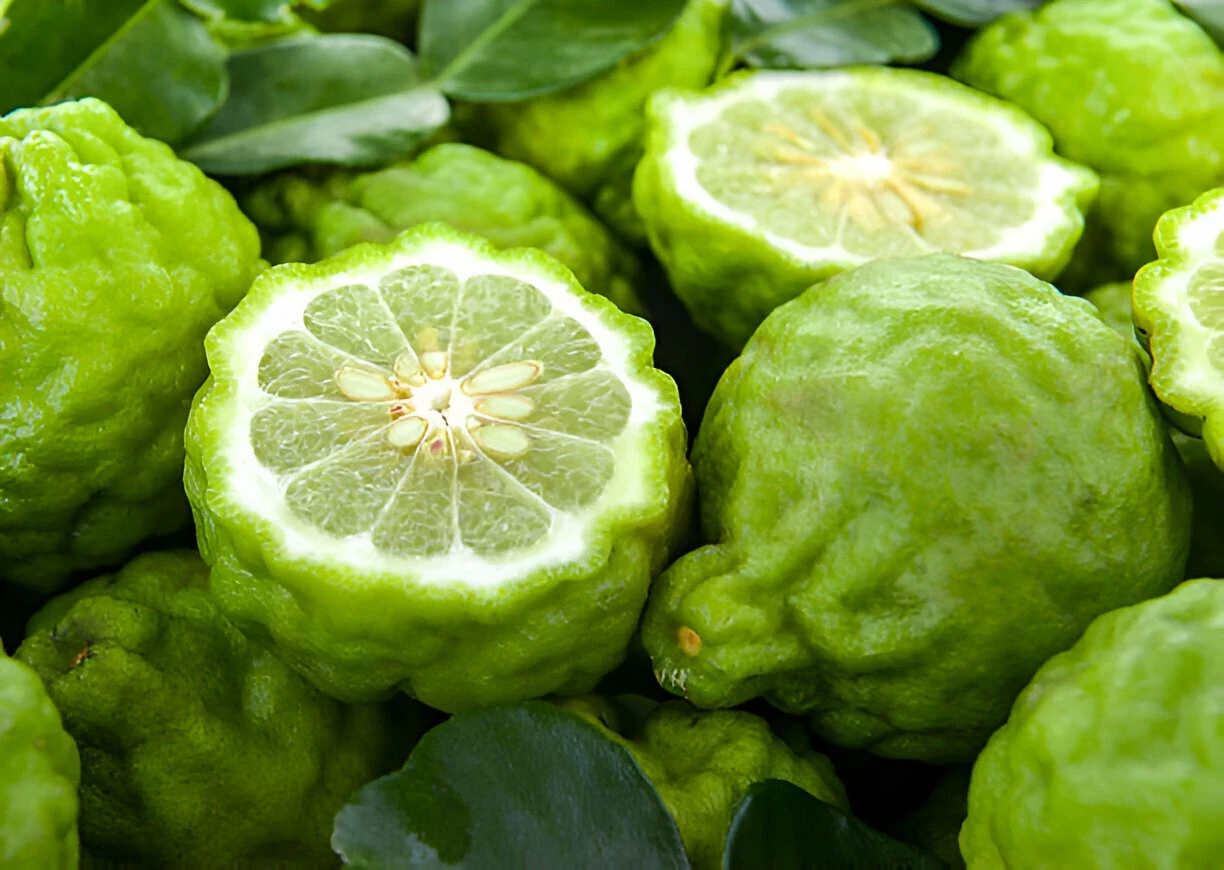 Bergamot: Kandungan Nutrisi dan Manfaat Kesehatannya