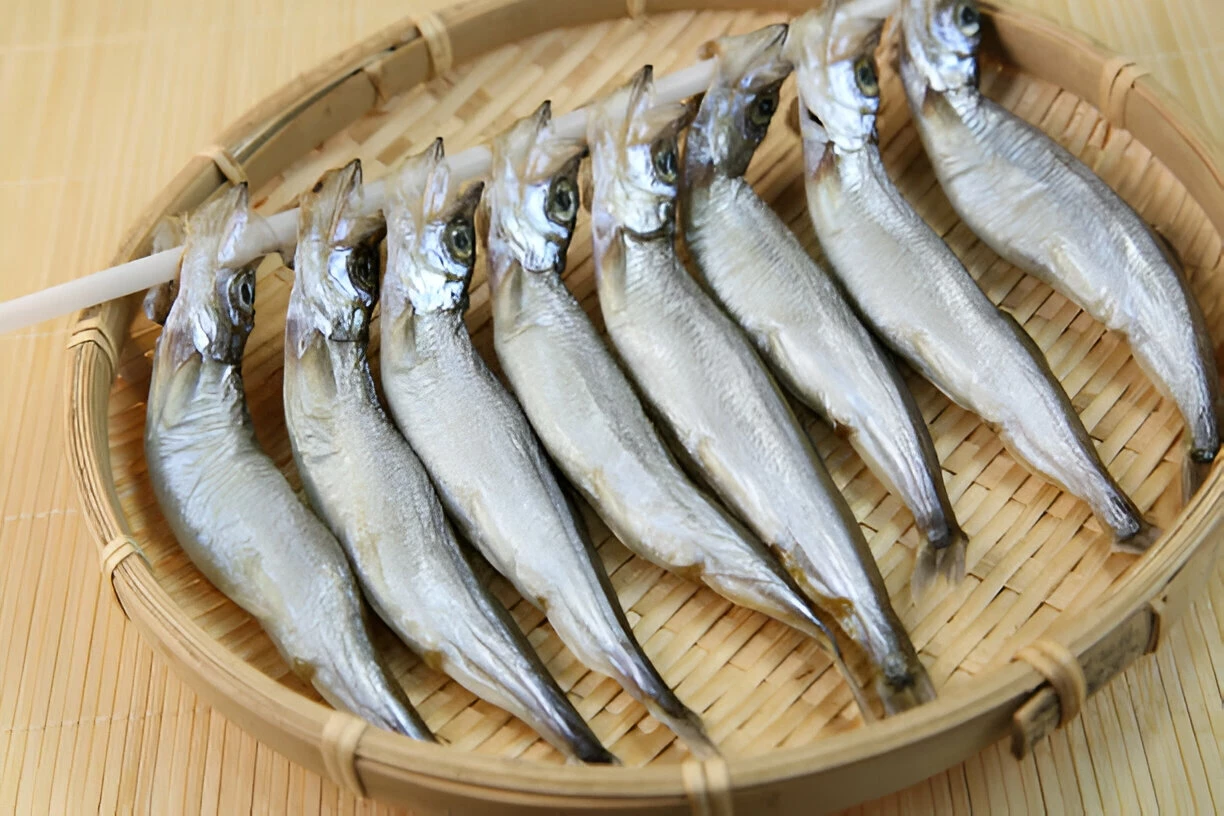 Ikan Telur (Shisamo): Kandungan Gizi Dan Manfaat Kesehatannya