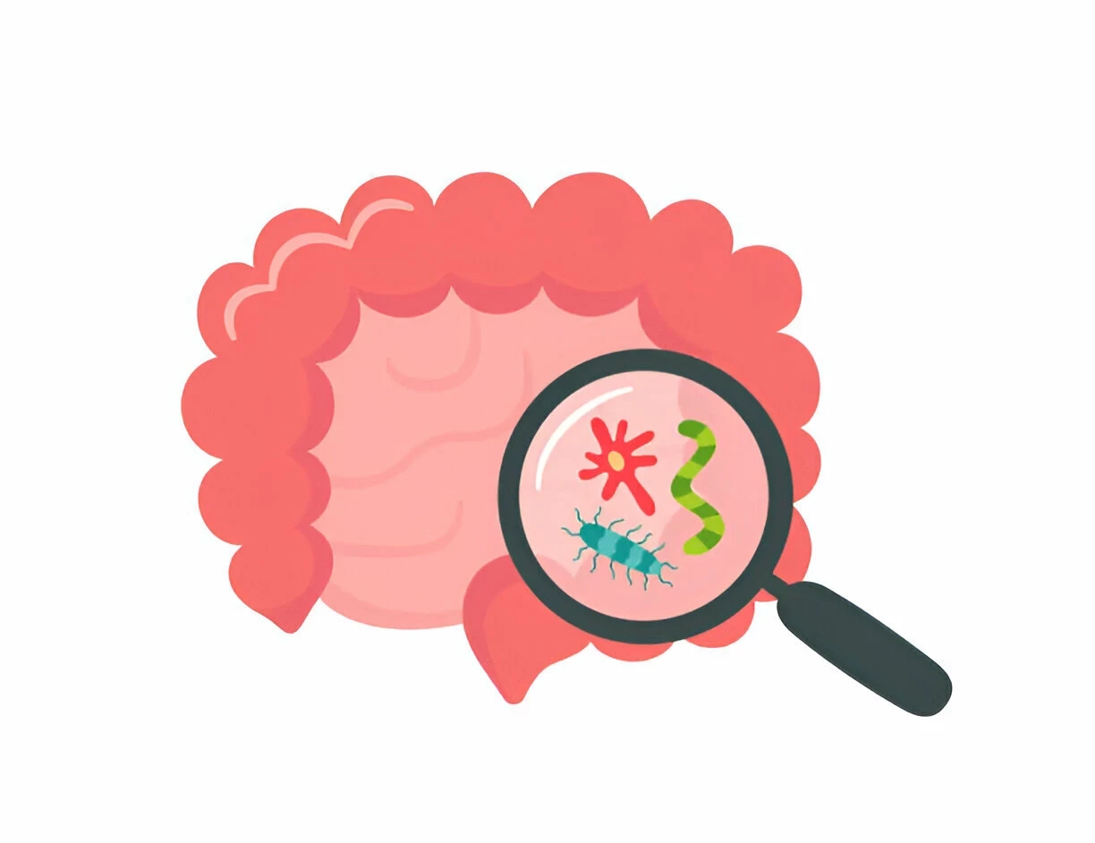 Small Intestinal Bacterial Overgrowth (SIBO): Penyebab, Gejala, dan Cara Mengelolanya
