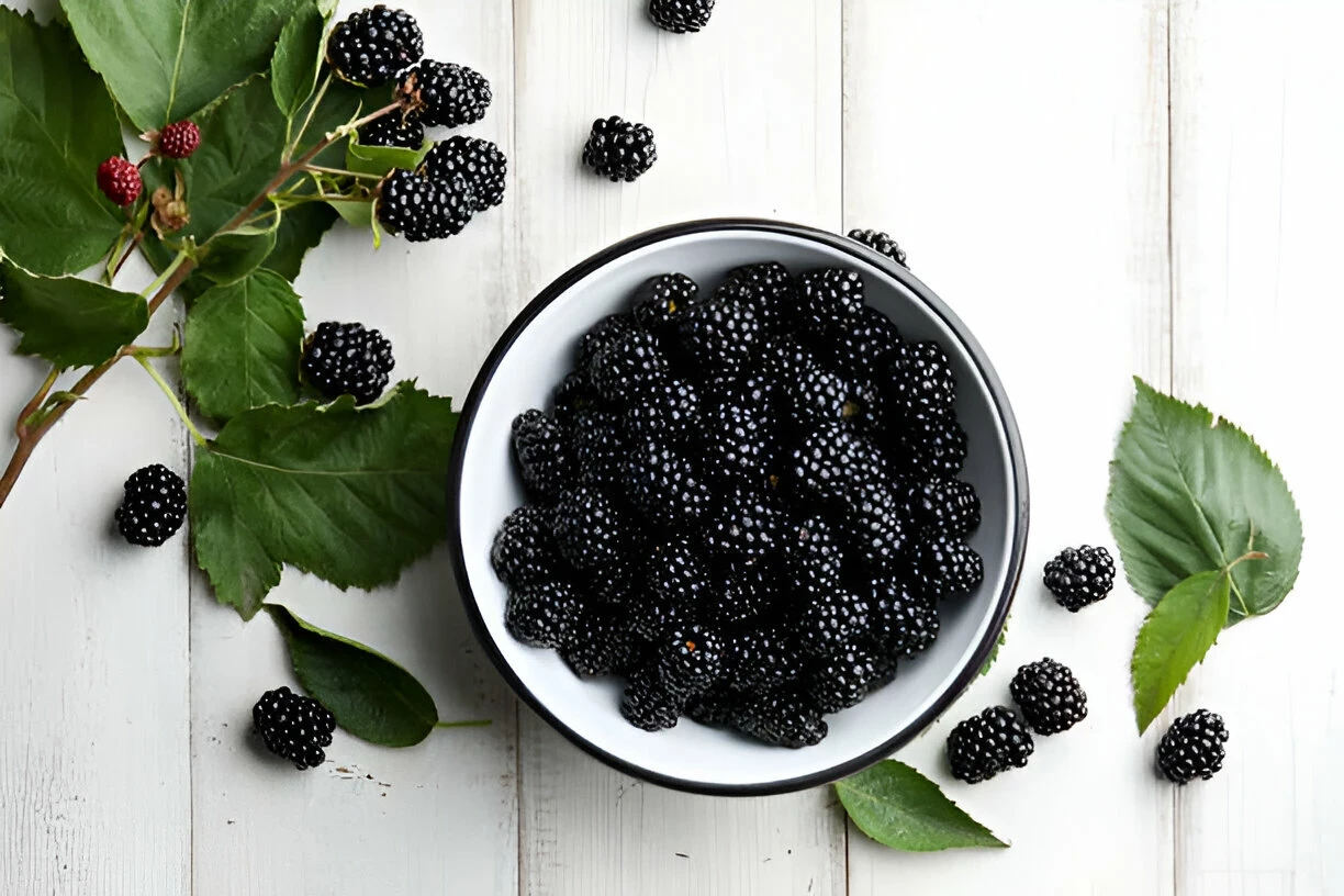 Blackberry: Kandungan Gizi dan Manfaat Kesehatannya