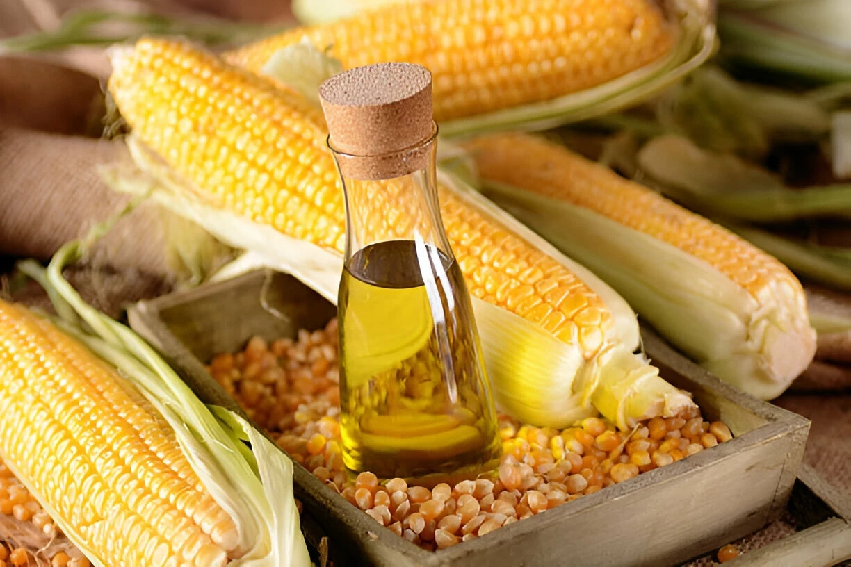 Minyak Jagung: Kandungan Gizi dan Manfaat Kesehatannya