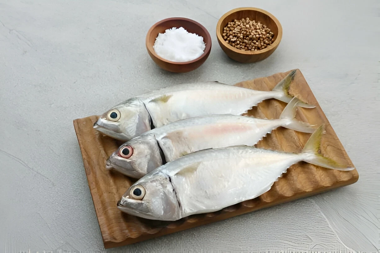 Ikan Kembung: Kandungan Gizi dan Manfaat Kesehatannya