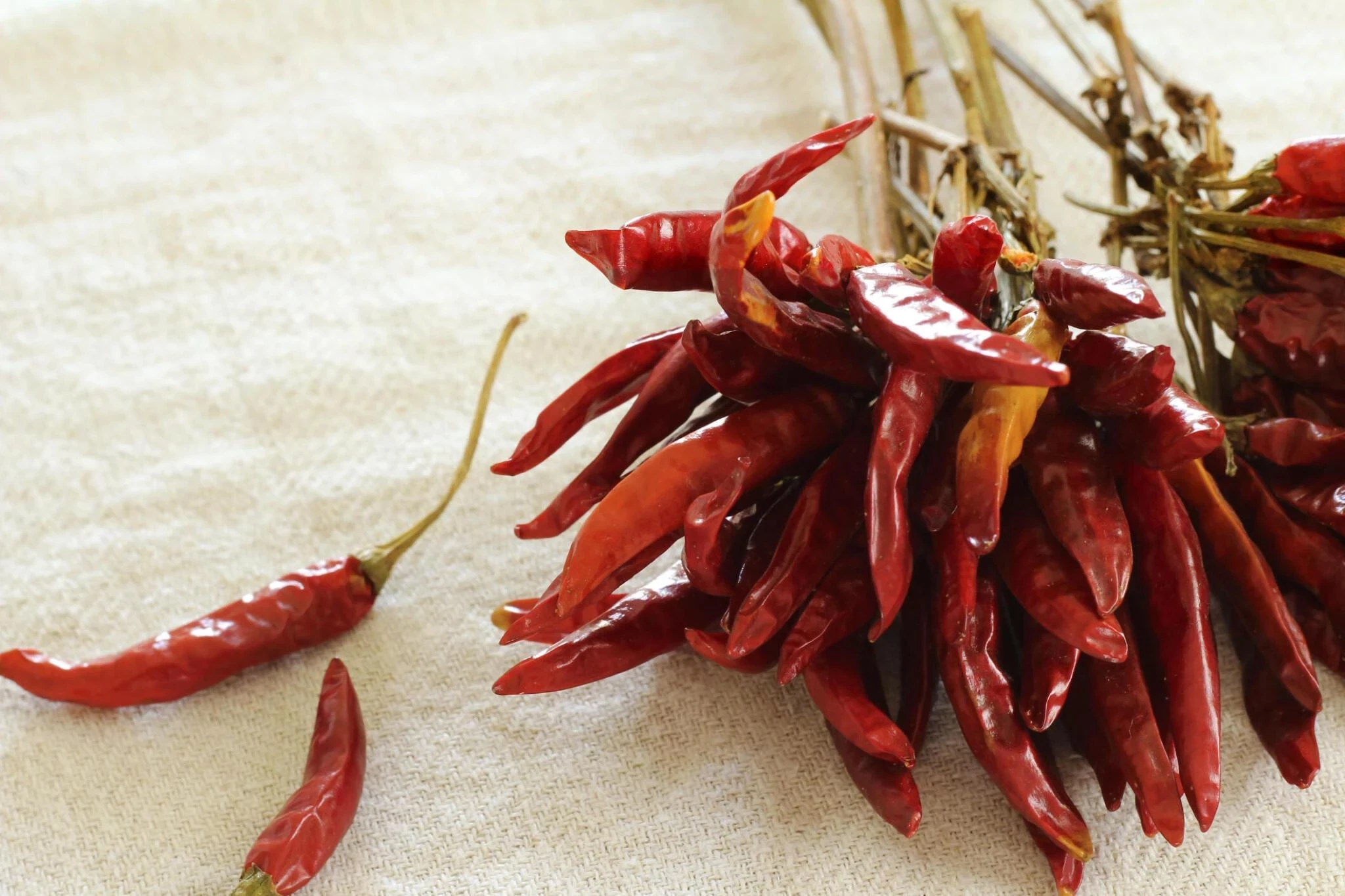 Cayenne Pepper: Kandungan Gizi dan Manfaat Kesehatannya
