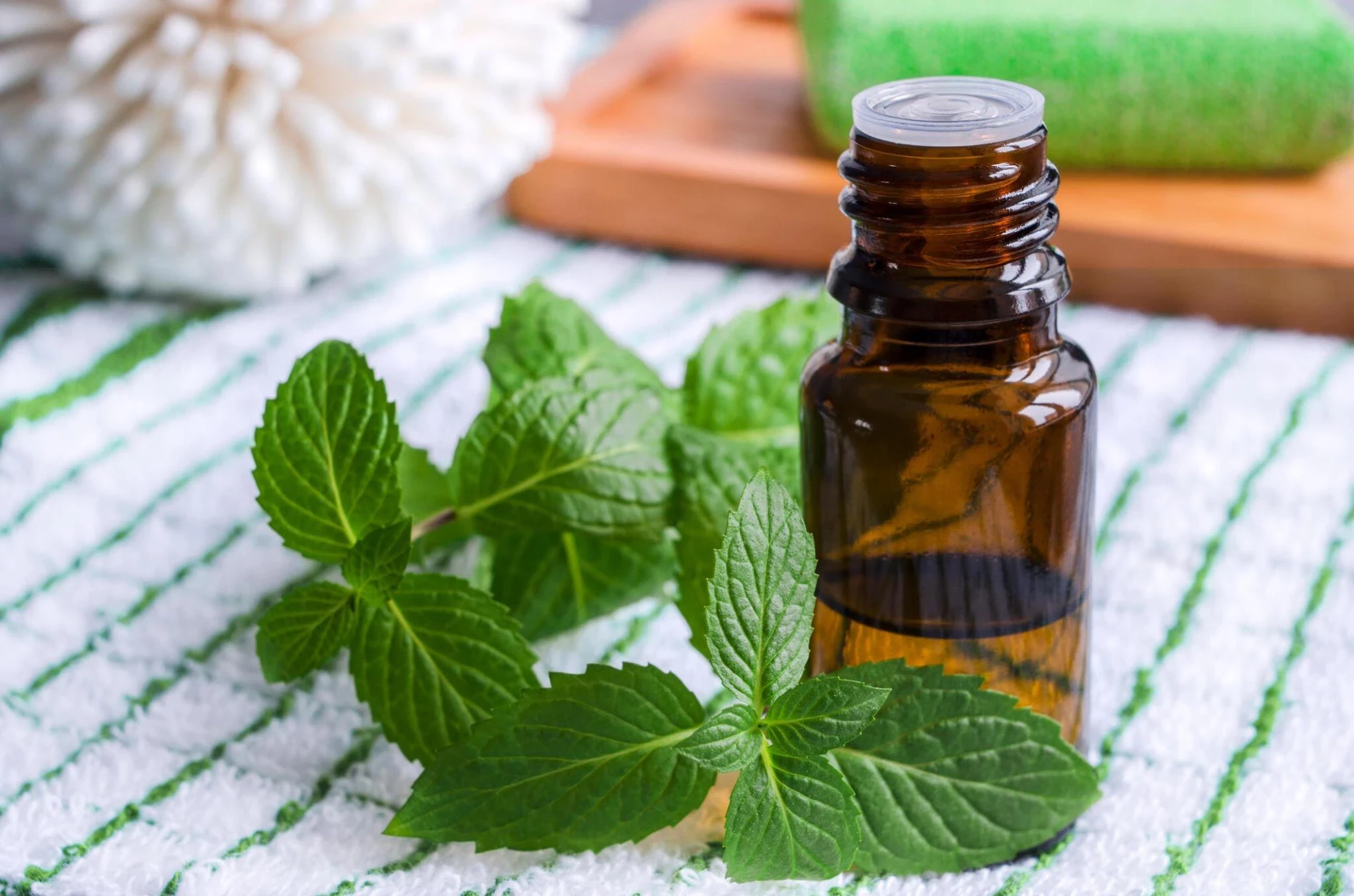 Peppermint: Kandungan Gizi dan Manfaat Kesehatannya
