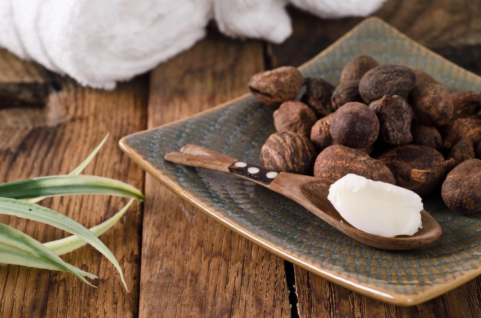 Shea Butter: Manfaatnya Bagi Kesehatan Kulit dan Rambut
