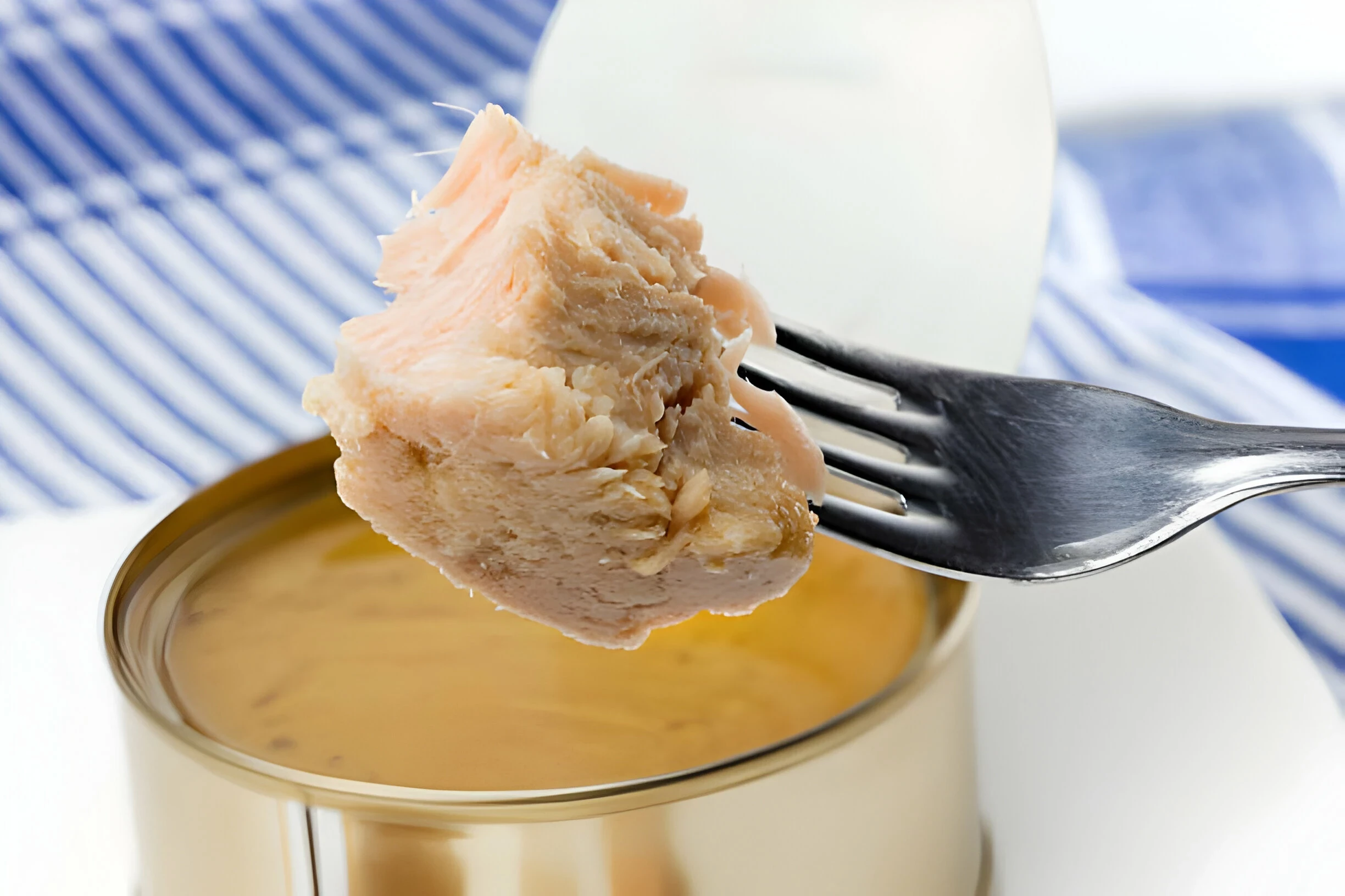 Manfaat Ikan Tuna untuk Ibu dan Janin: Sumber Berbagai Nutrisi Penting