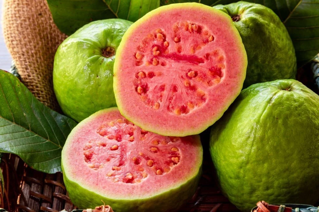 Jambu Biji: Kandungan Gizi dan Manfaat Kesehatannya