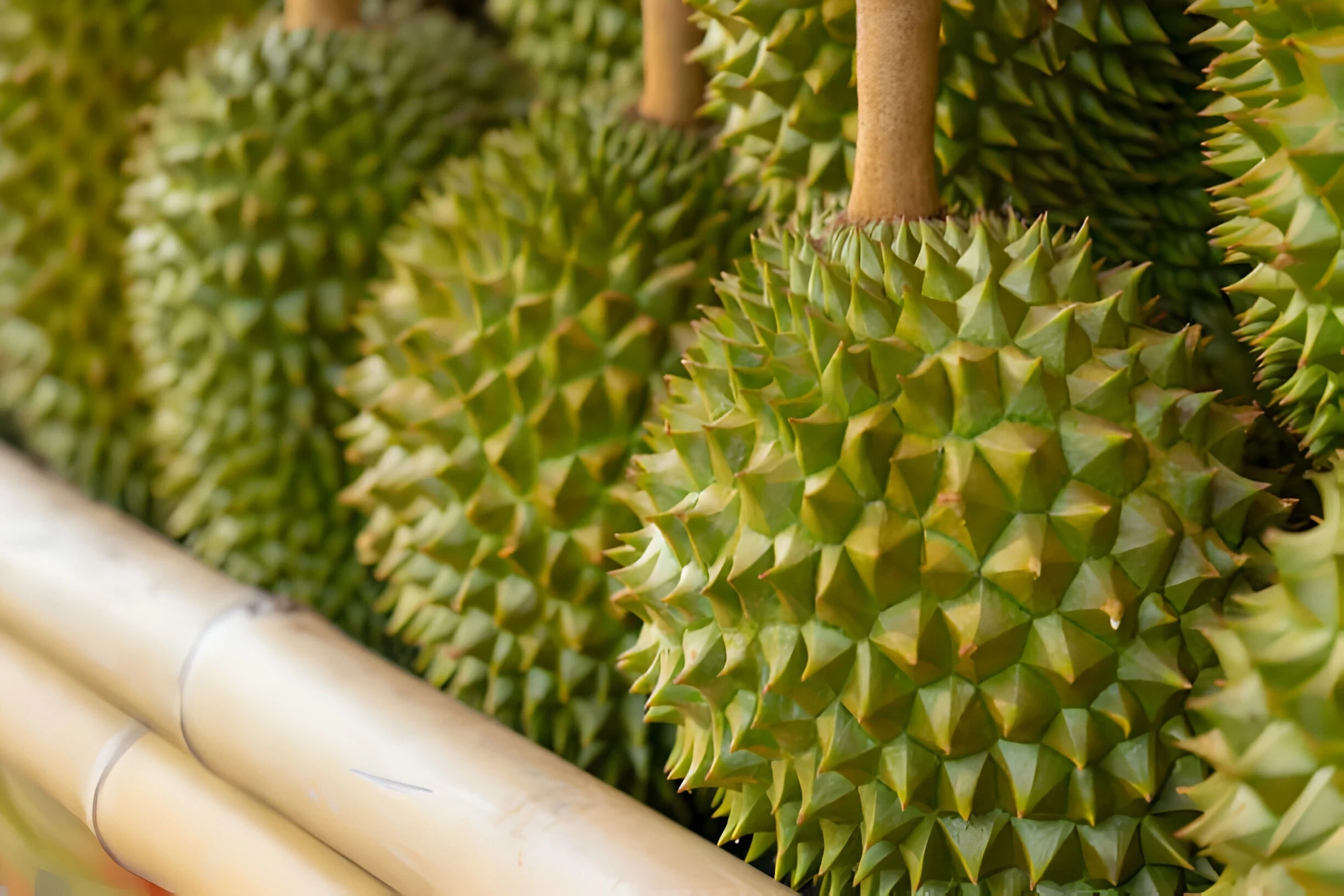6 Makanan Yang Harus Dihindari setelah Makan Durian