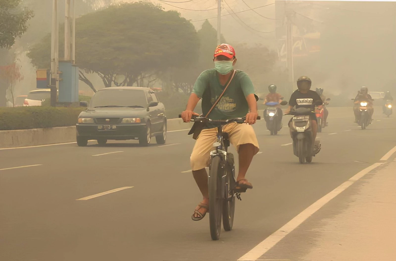 Bahaya Asap Karhutla Bagi Kesehatan dan Cara Melindungi Diri