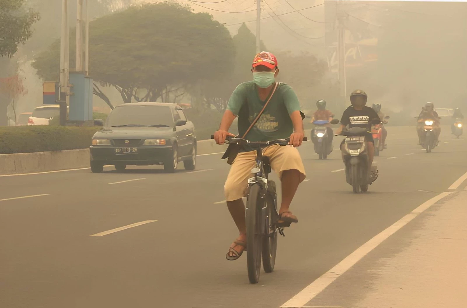 Bahaya Asap Karhutla Bagi Kesehatan dan Cara Melindungi Diri