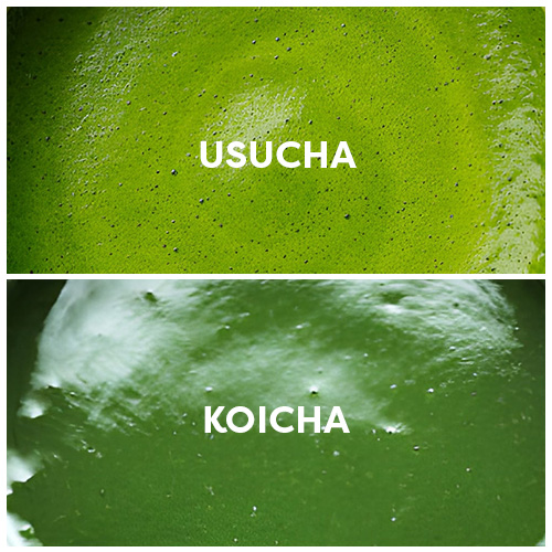 Matcha usucha, matcha koicha