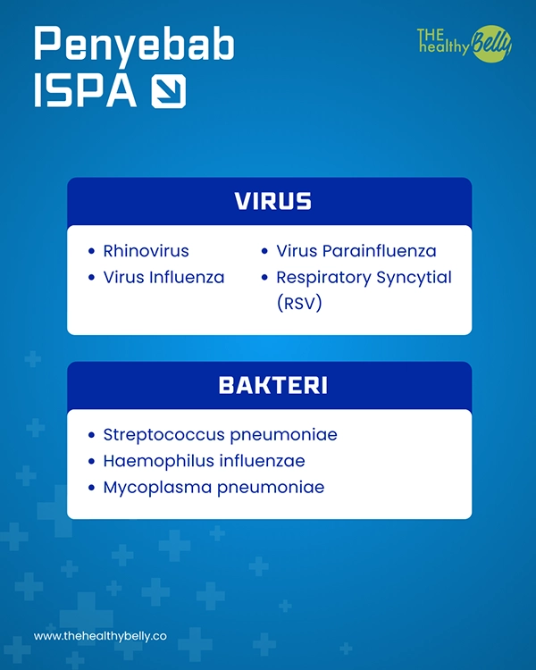 jenis jenis virus dan bakteri penyebab ispa