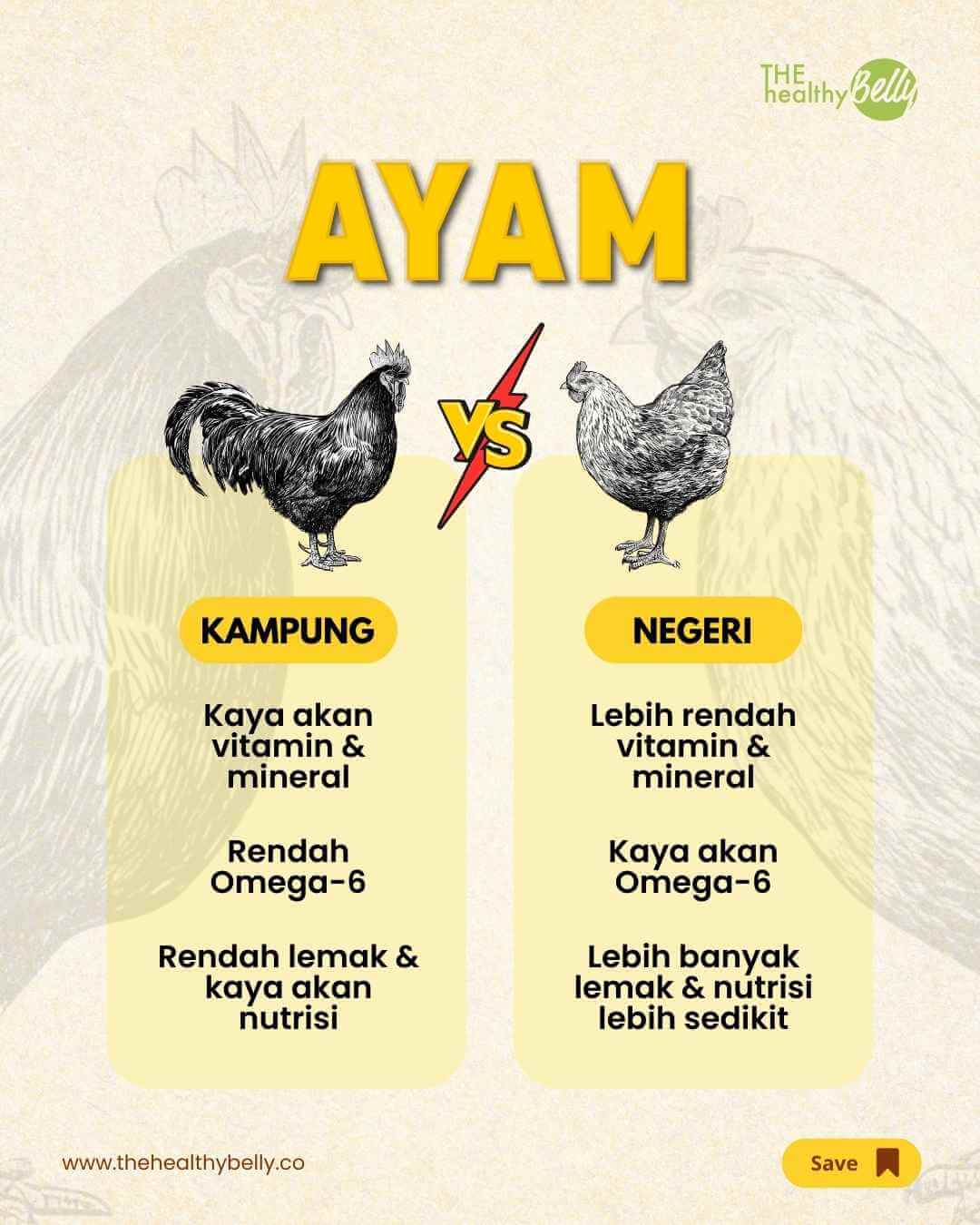 Perbedaan ayam kampung dan ayam negeri