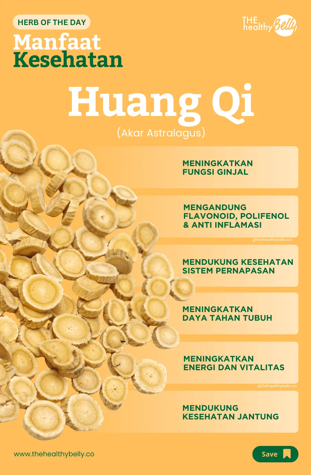 Manfaat kesehatan akar astralagus, Huang Qi (黄芪)